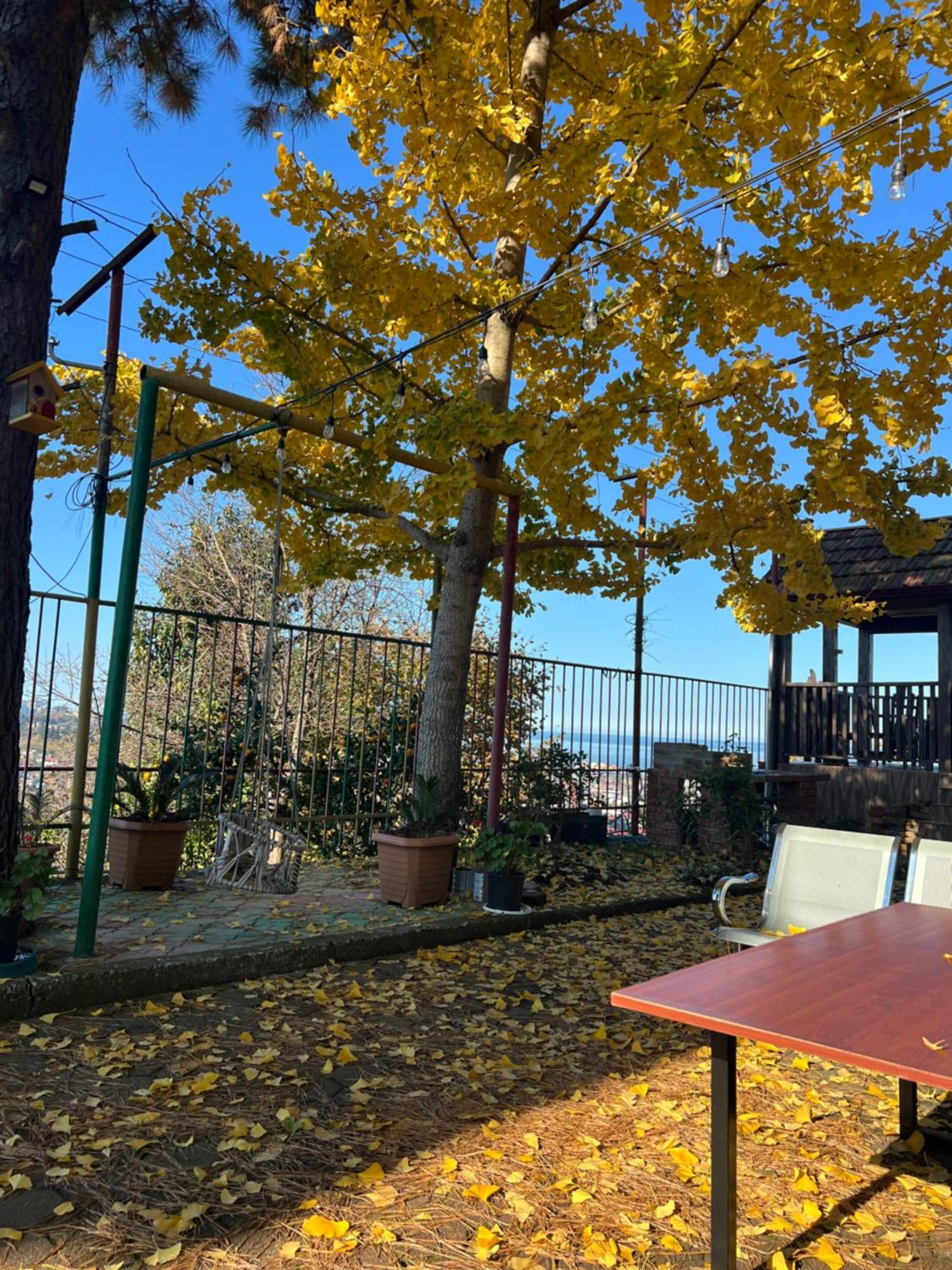 Gt House Batumi 호텔 외부 사진