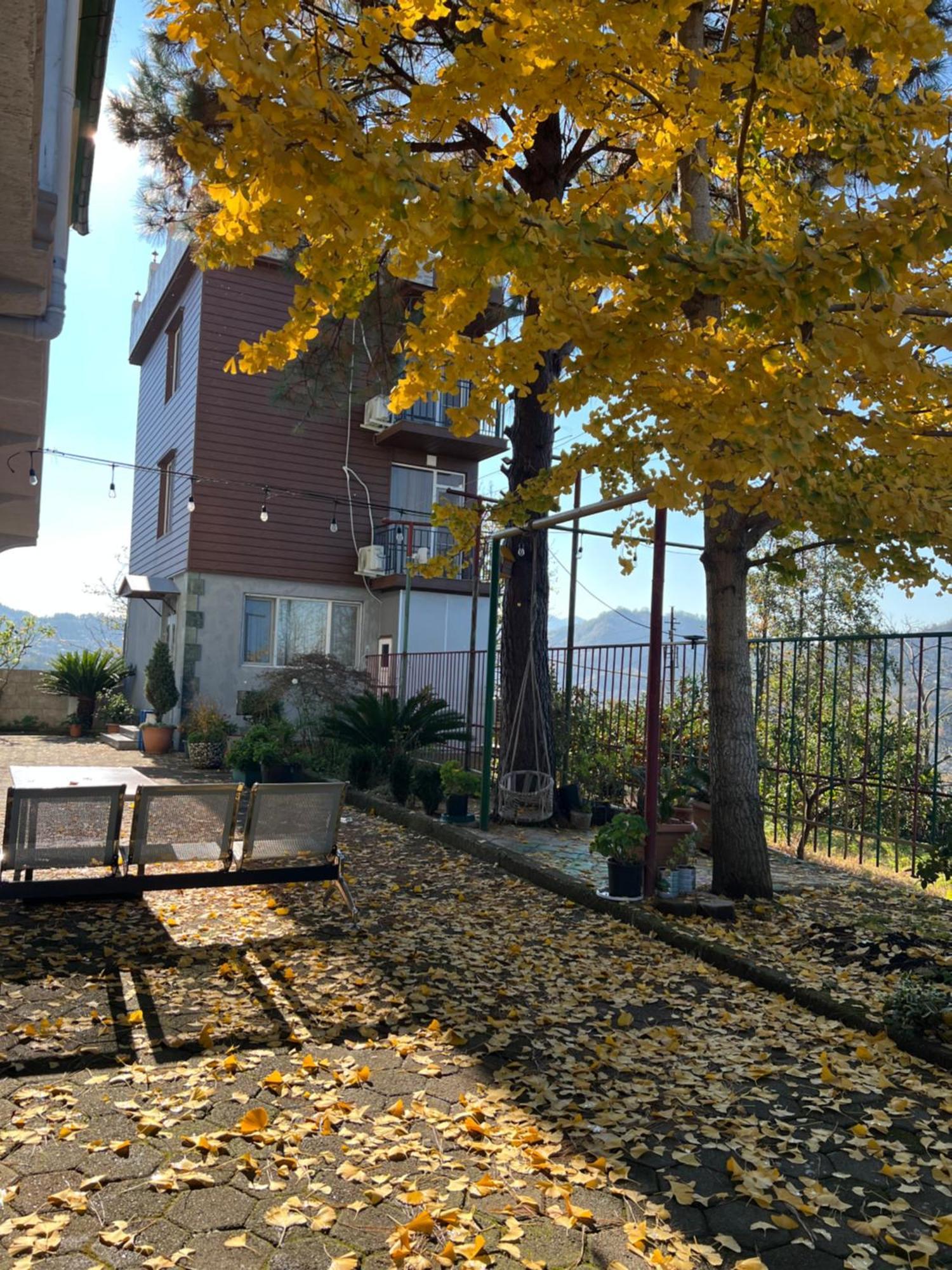 Gt House Batumi 호텔 외부 사진