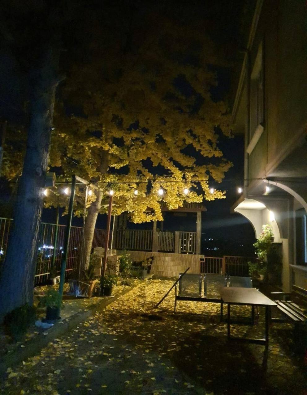 Gt House Batumi 호텔 외부 사진