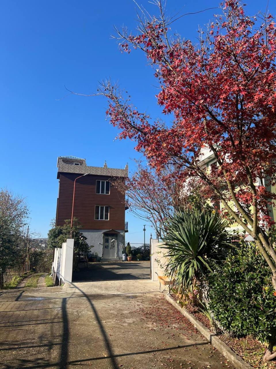 Gt House Batumi 호텔 외부 사진