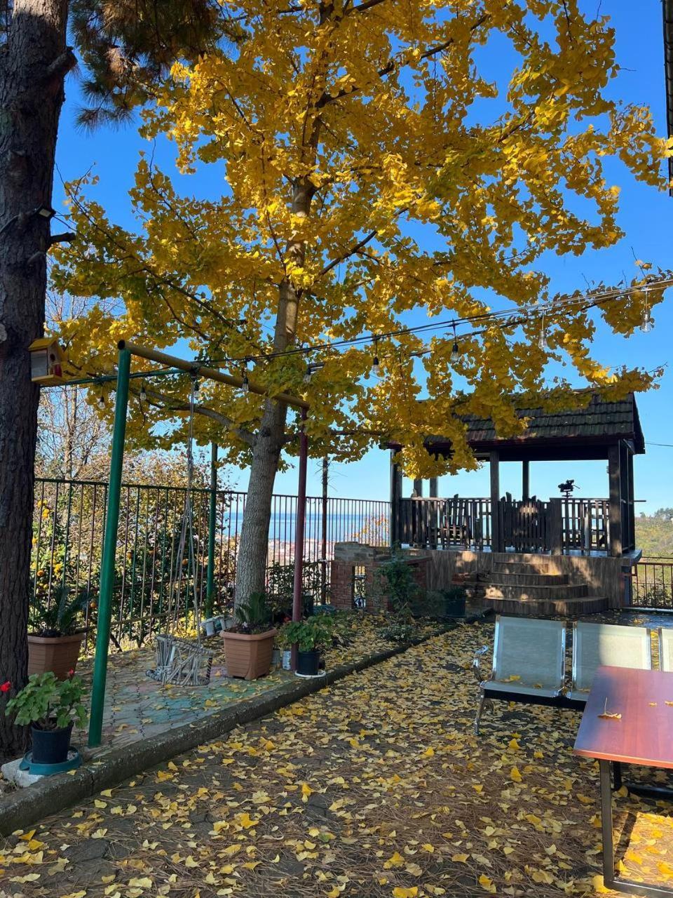 Gt House Batumi 호텔 외부 사진