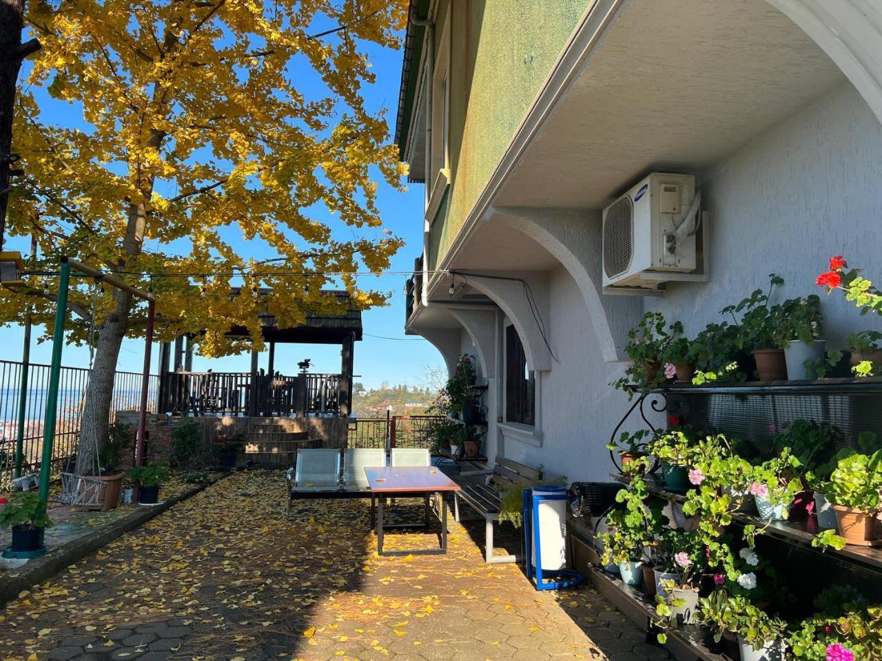 Gt House Batumi 호텔 외부 사진