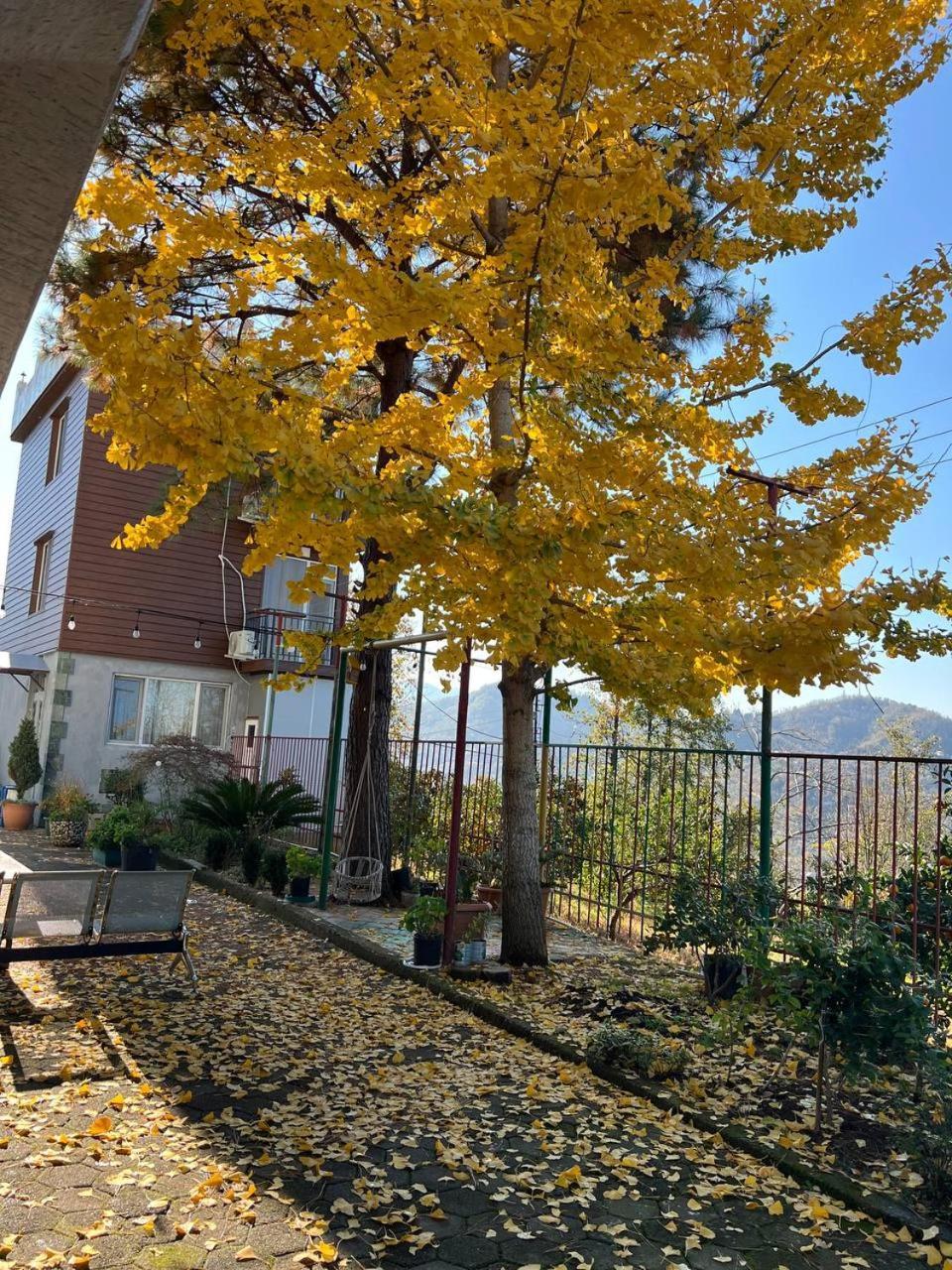 Gt House Batumi 호텔 외부 사진
