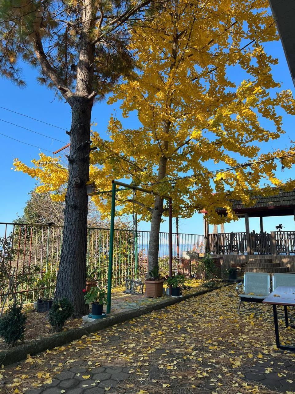 Gt House Batumi 호텔 외부 사진