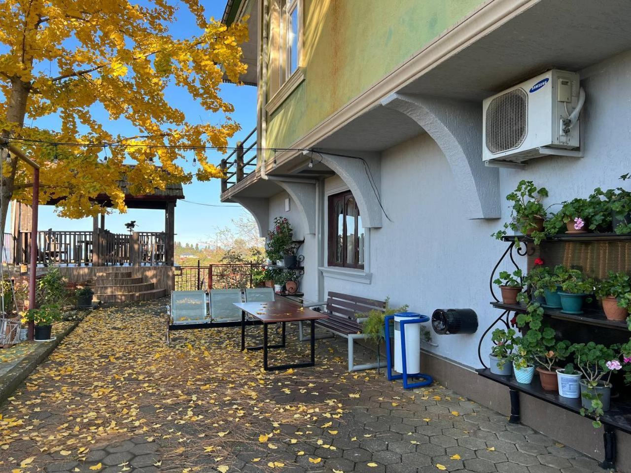 Gt House Batumi 호텔 외부 사진